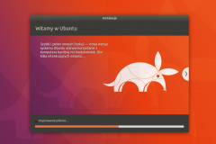 9. Instalator Ubuntu